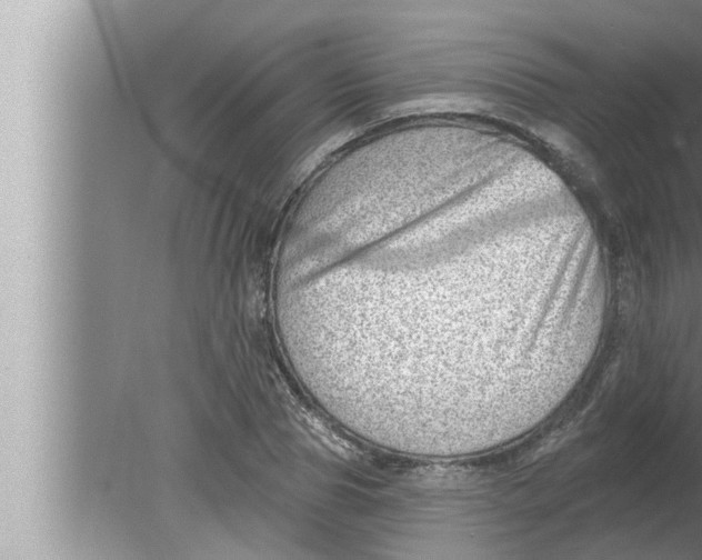 X0000080150929200612302124