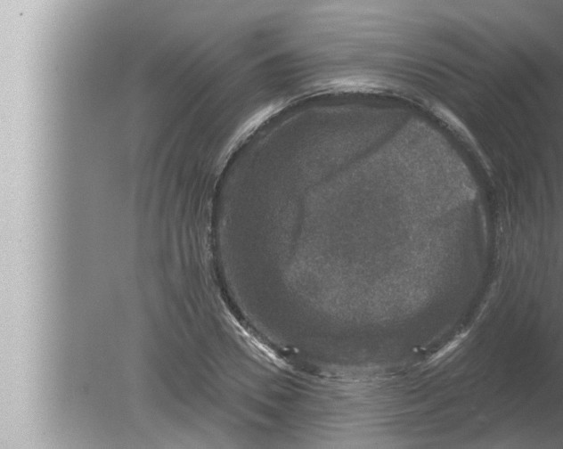 X0000080150930200612302124