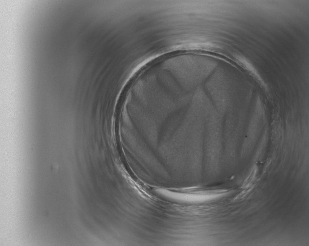 X0000080150932200612302124