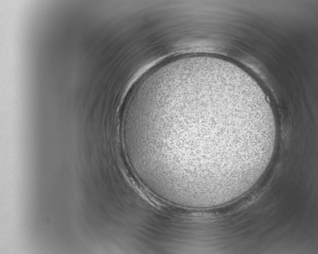 X0000080150933200612302124