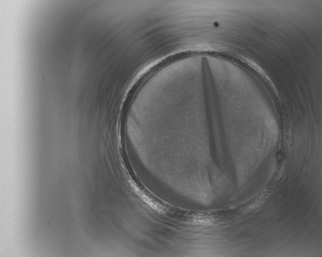 X0000080150935200612302124