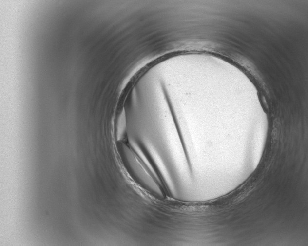 X0000080150936200612302124