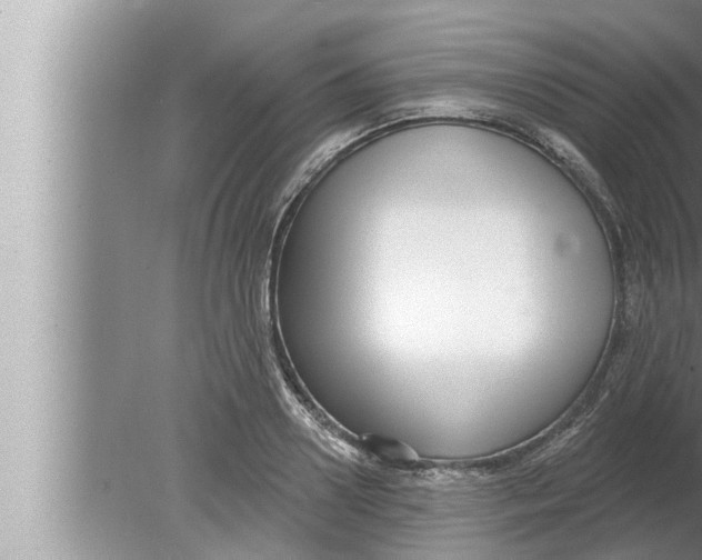 X0000080150938200612302124