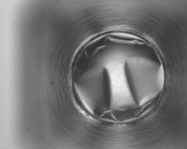 X0000080150939200612302124