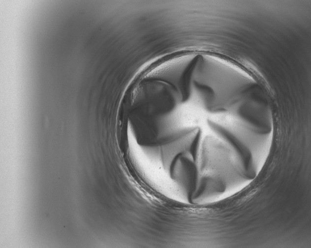 X0000080150940200612302124