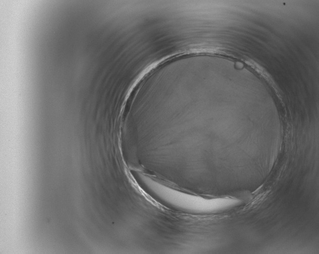 X0000080150941200612302124