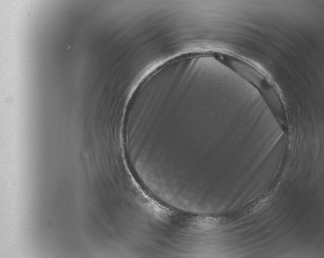 X0000080150943200612302124