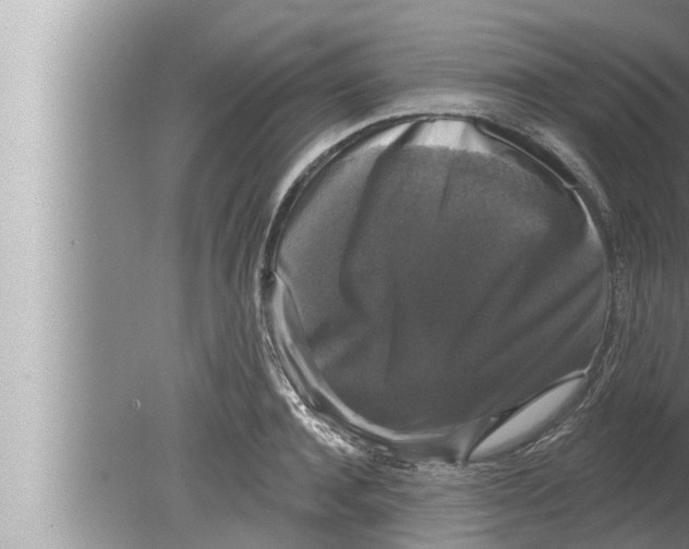 X0000080150944200612302124