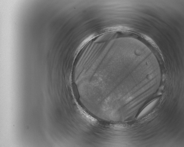 X0000080150946200612302124