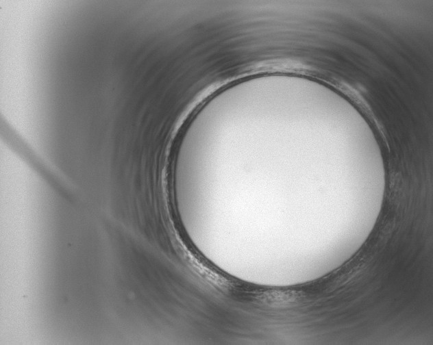 X0000080150947200612302124