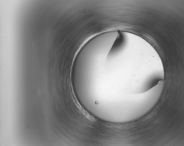 X0000080150948200612302124