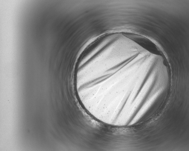 X0000080150949200612302124