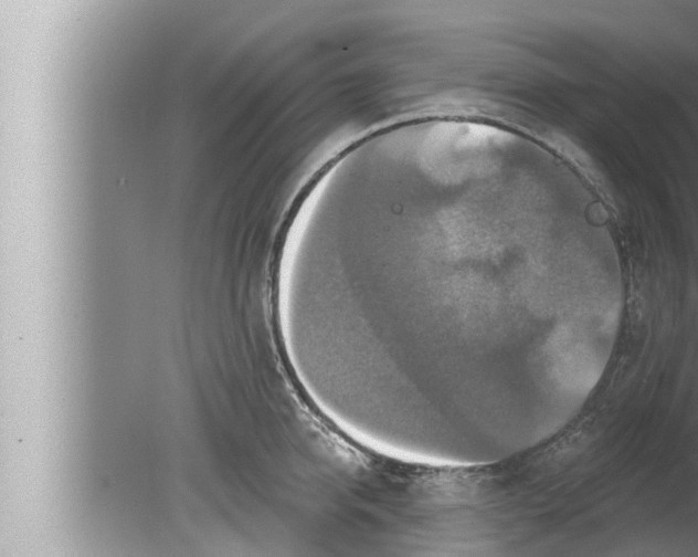 X0000080150950200612302124