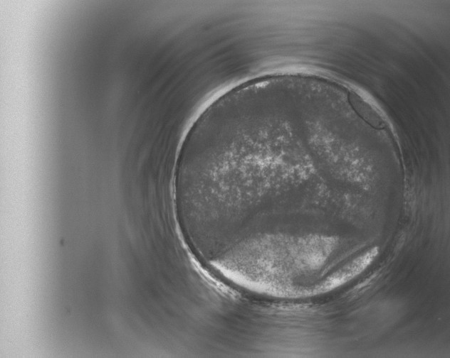 X0000080150951200612302124