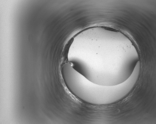 X0000080150952200612302124