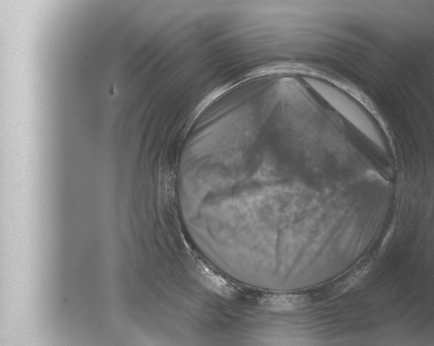 X0000080150953200612302124