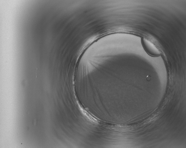 X0000080150954200612302124