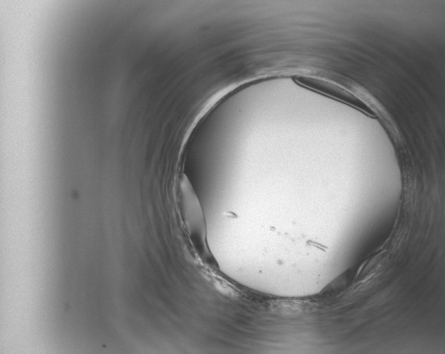 X0000080150956200612302124