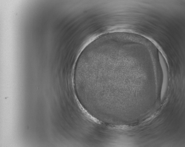 X0000080150957200612302124