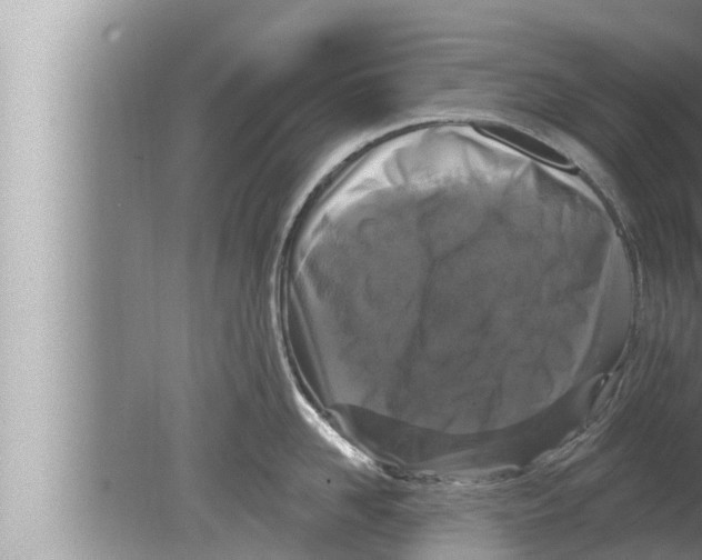 X0000080150958200612302124