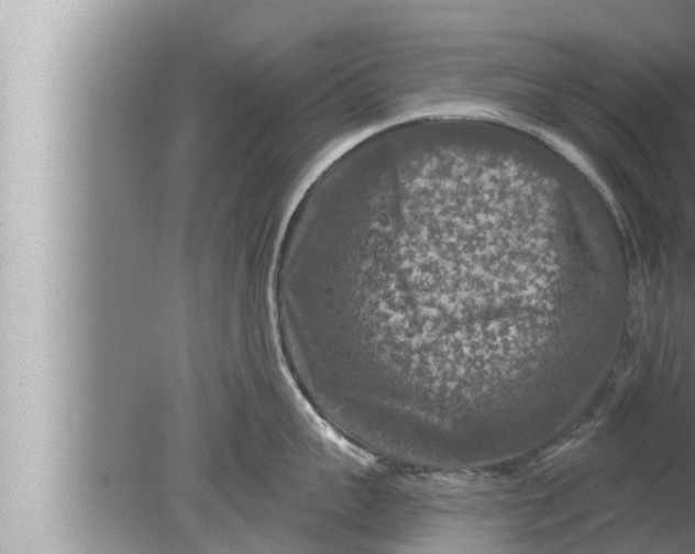 X0000080150959200612302124