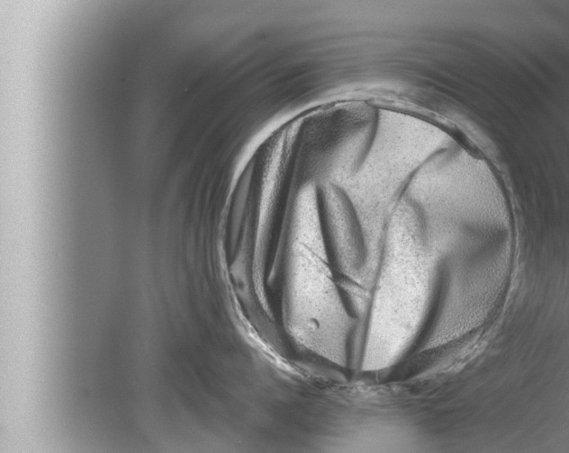 X0000080150960200612302124