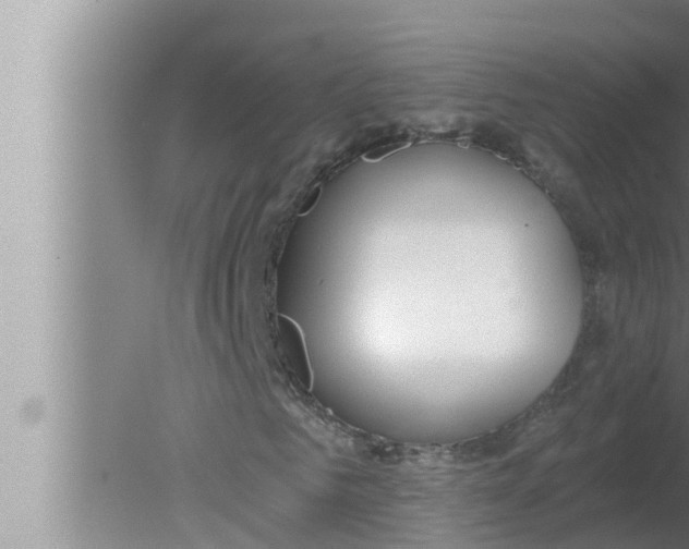 X0000080150961200612302123