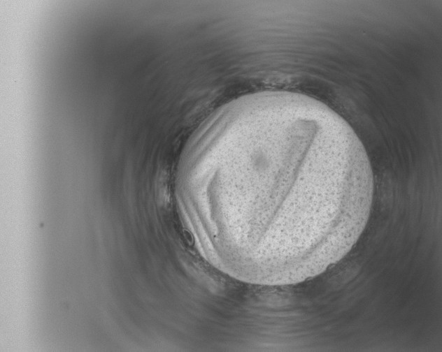 X0000080150962200612302123