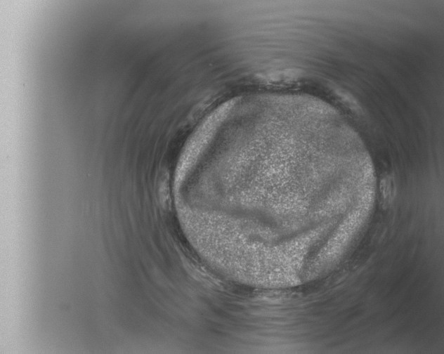 X0000080150963200612302123