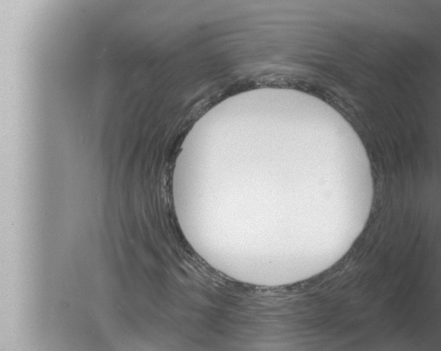 X0000080150964200612302123