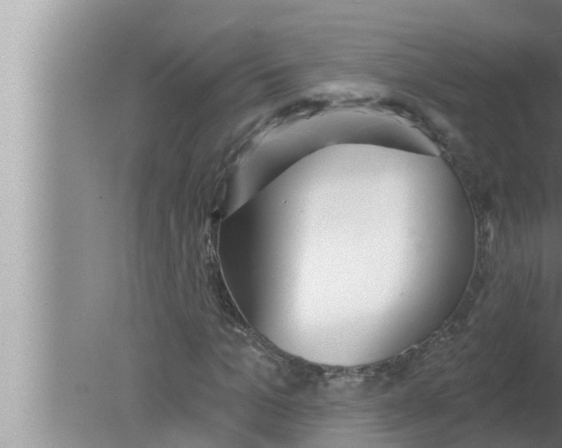 X0000080150965200612302123