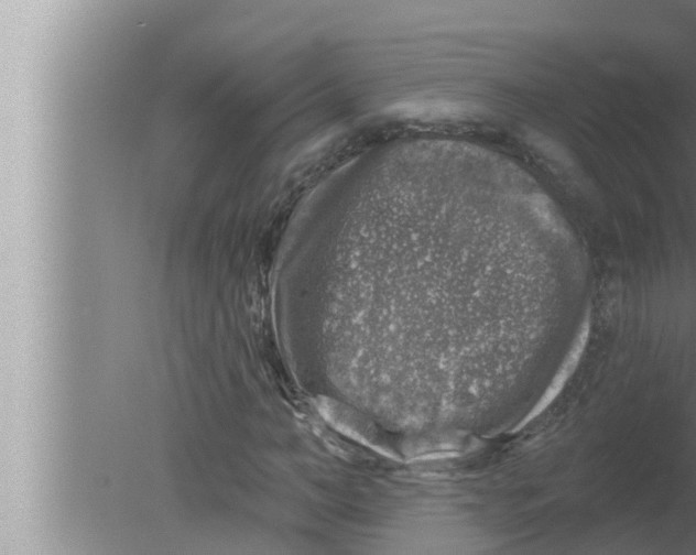 X0000080150966200612302123