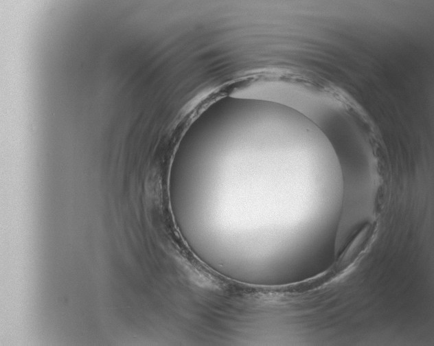 X0000080150969200612302123