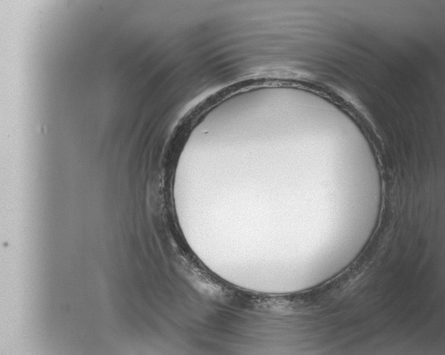 X0000080150971200612302123