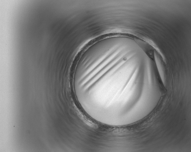 X0000080150972200612302123