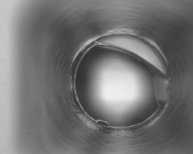 X0000080150973200612302123