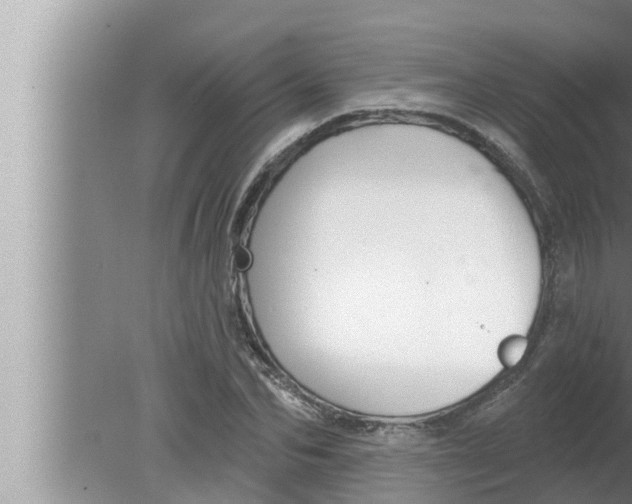 X0000080150974200612302123