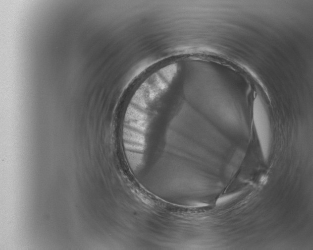 X0000080150975200612302123