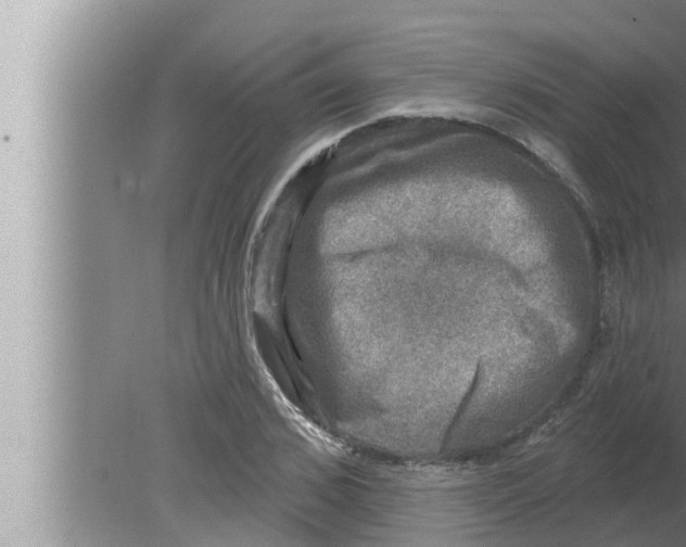 X0000080150976200612302123