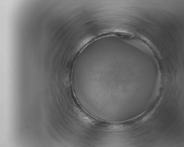 X0000080150977200612302123