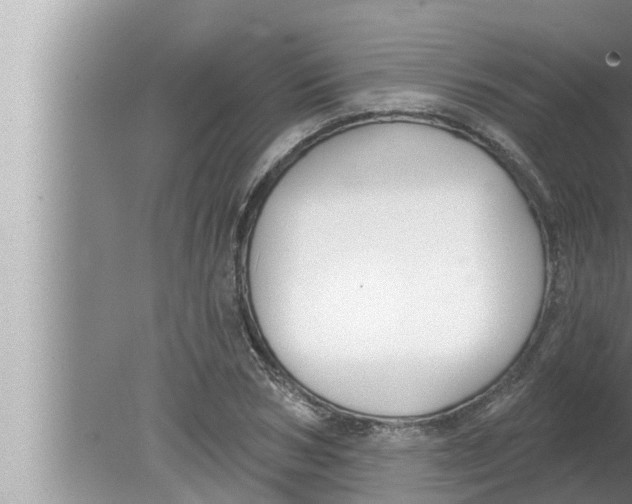 X0000080150978200612302123