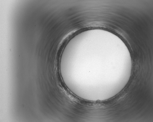 X0000080150979200612302123