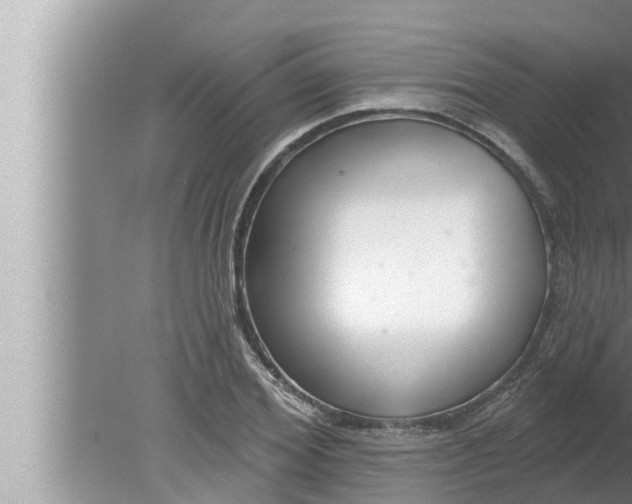 X0000080150980200612302123