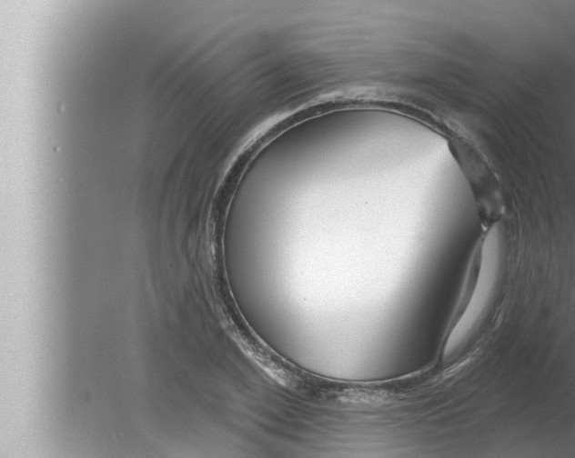 X0000080150981200612302123