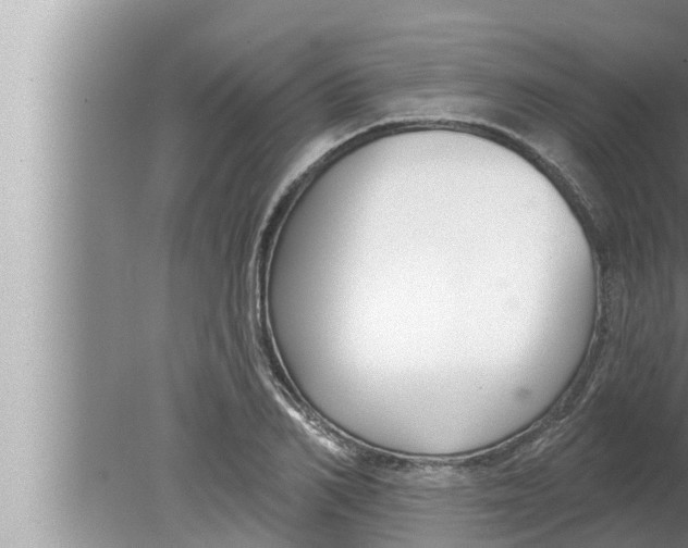 X0000080150982200612302123