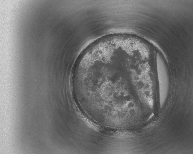 X0000080150983200612302123