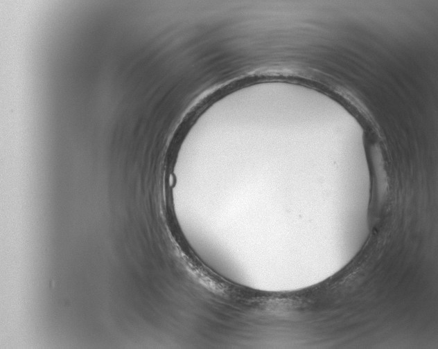 X0000080150984200612302123