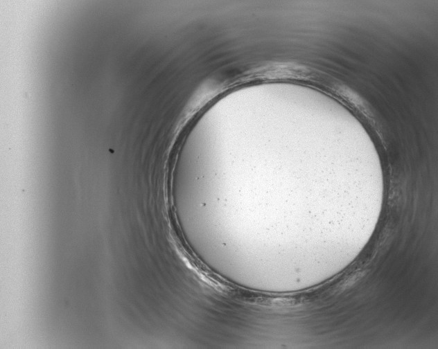 X0000080150986200612302123