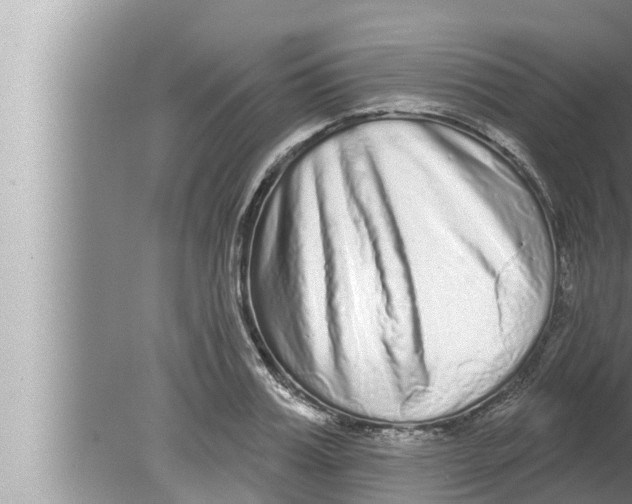 X0000080150987200612302123