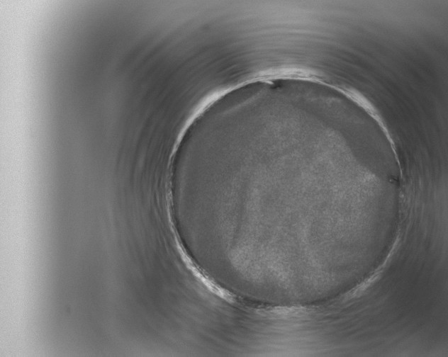 X0000080150989200612302123